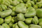 Fresh Fava Beans
